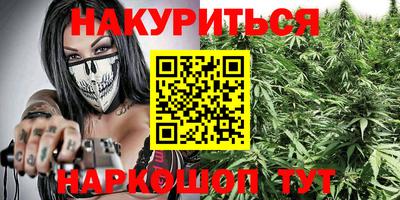 амф Новодвинск