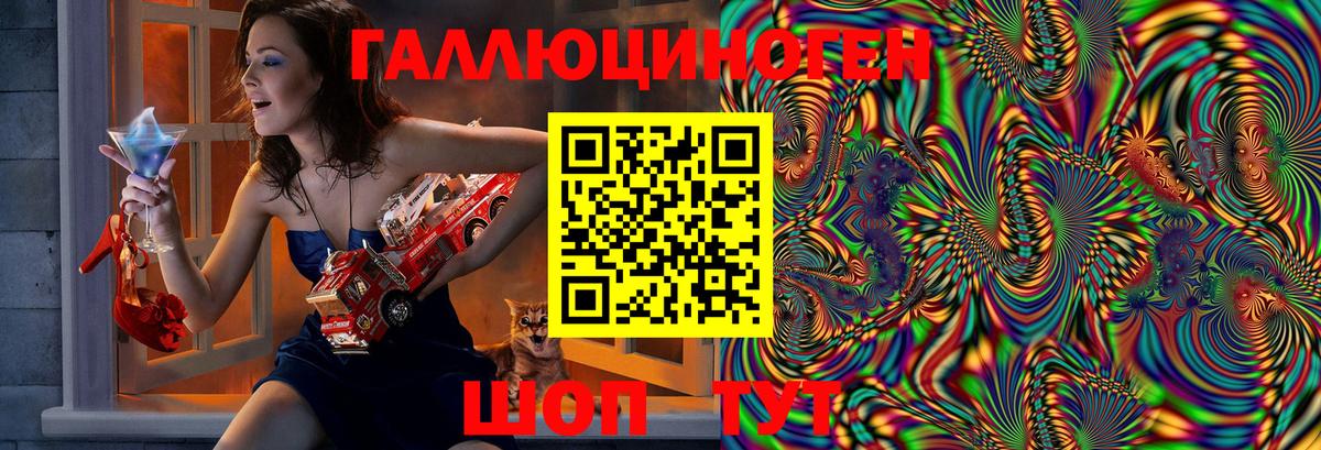 Псилоцибиновые грибы Psilocybe Фрязино